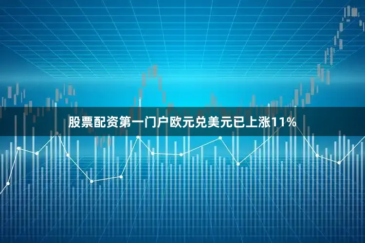 股票配资第一门户欧元兑美元已上涨11%