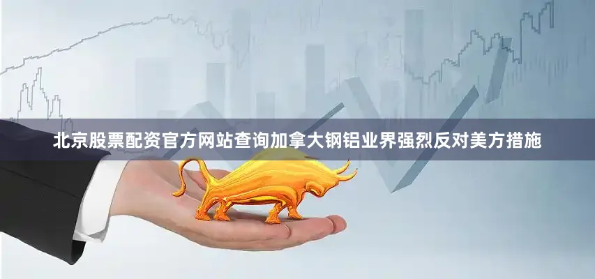 北京股票配资官方网站查询加拿大钢铝业界强烈反对美方措施