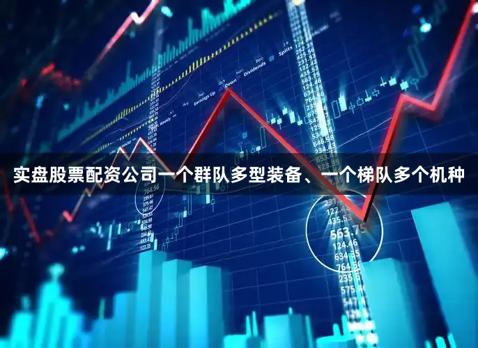 实盘股票配资公司一个群队多型装备、一个梯队多个机种